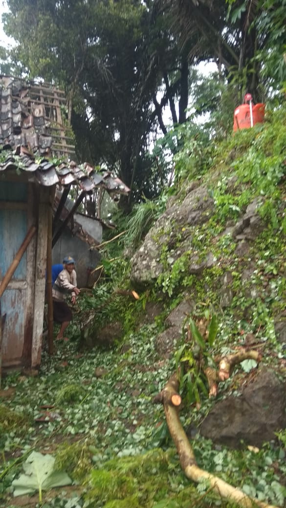 Rumah warga gunung kukusan tertimpa pohon